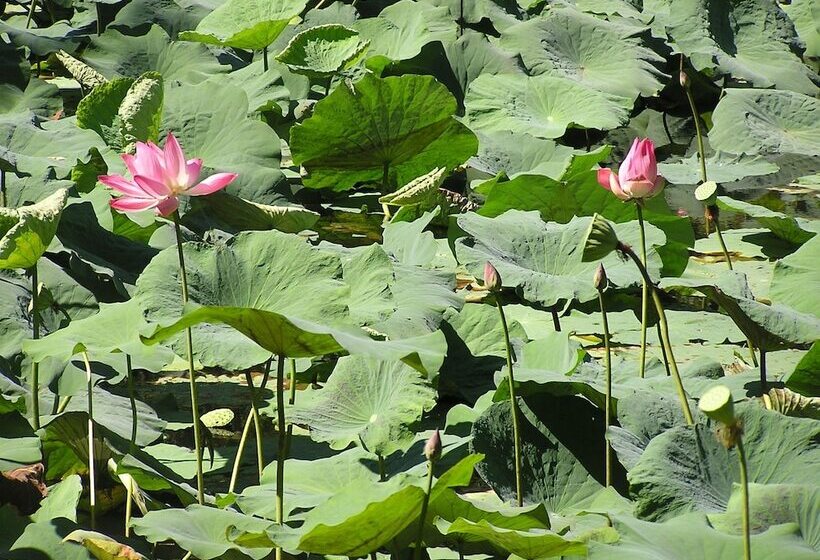 هتل North Borneo Biostation Resort