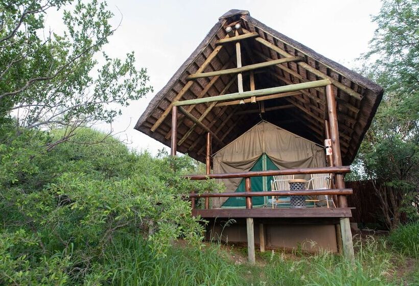 ホテル Sausage Tree Safari Camp