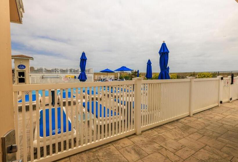 מוטל The White Sands Resort And Spa