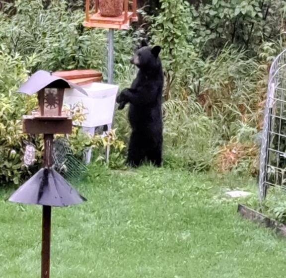 Southern Bluff Bed & Breakfast