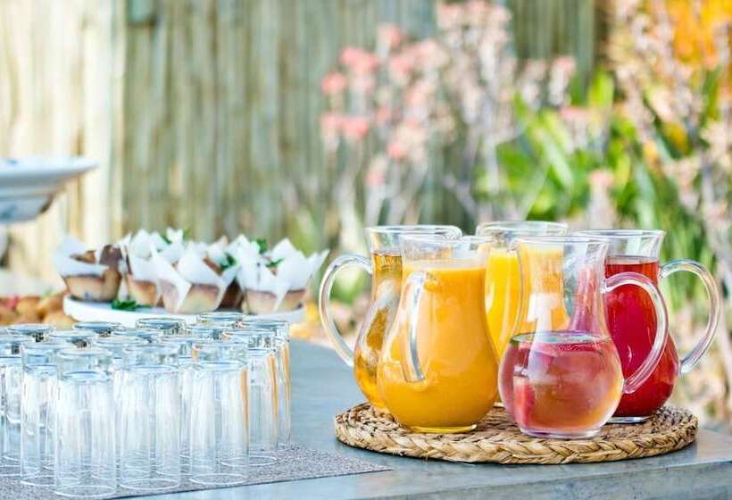 בית מלון כפרי Nambiti Hills Private Game Lodge