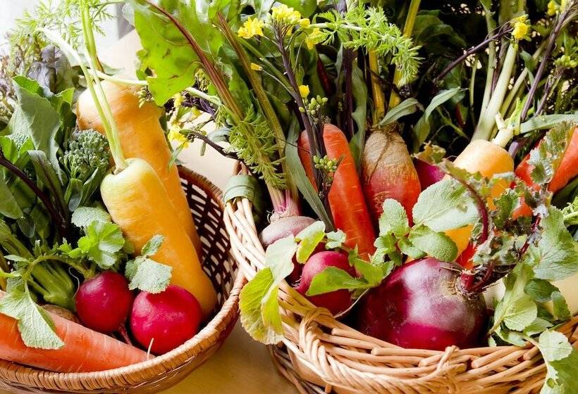 ريوكان Yugawara Retreat Goen No Mori