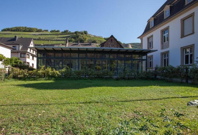 مبيت وإفطار Guesthouse Altes Rathaus