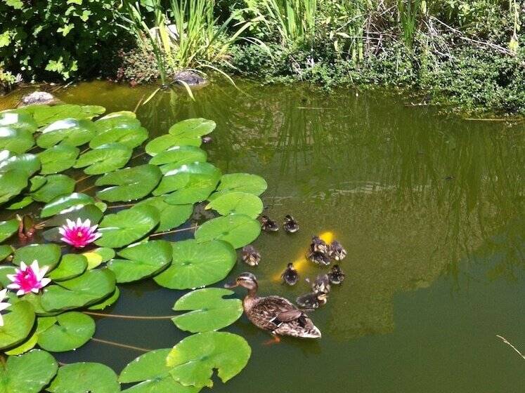 住宿加早餐  Les 3 Tilleuls