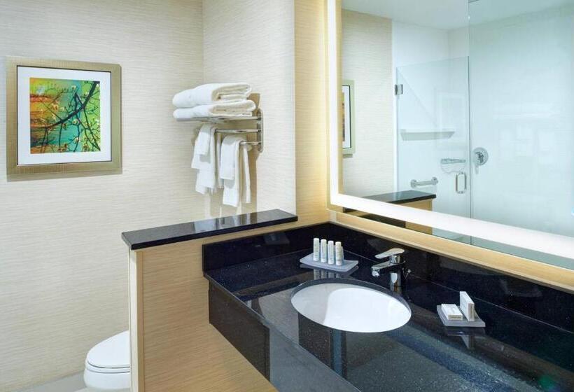 ホテル Fairfield Inn & Suites By Marriott Detroit Troy