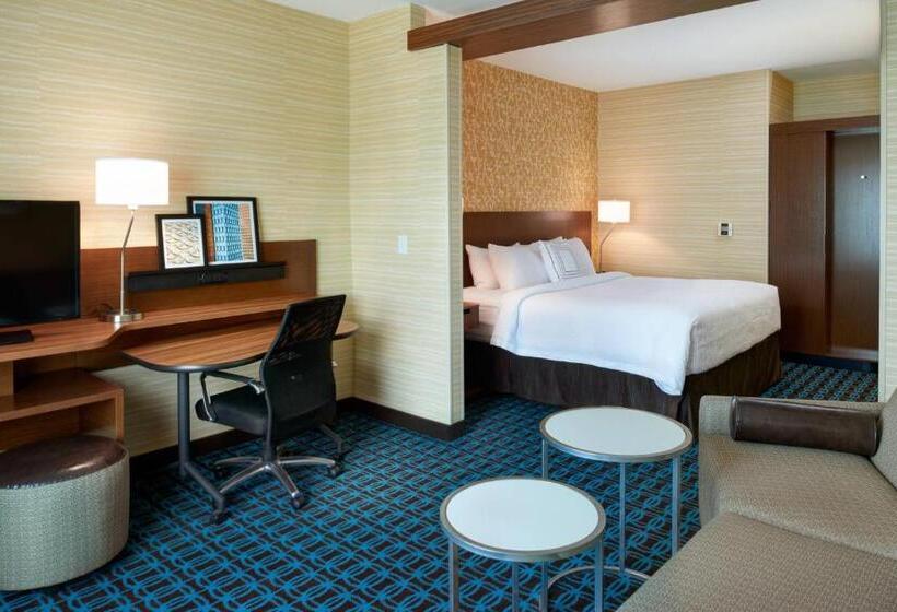 ホテル Fairfield Inn & Suites By Marriott Detroit Troy