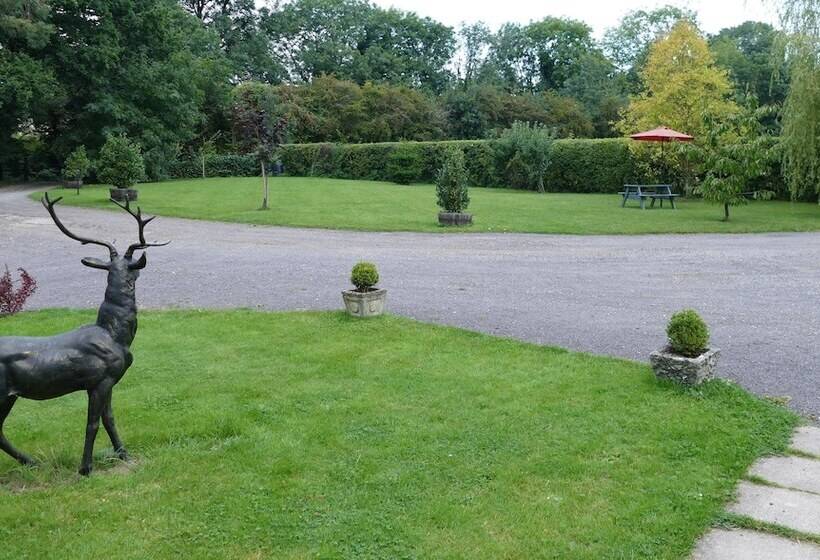 Bed and Breakfast The Willows