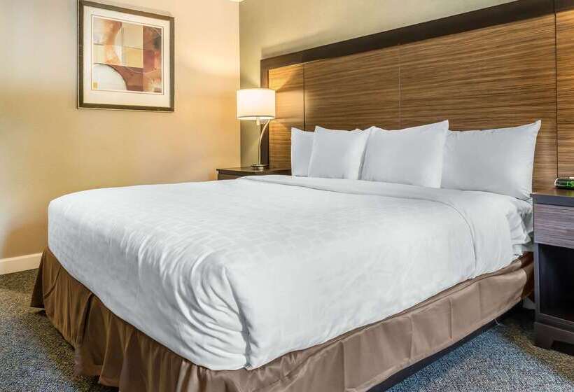 בית מלון כפרי Clarion Inn
