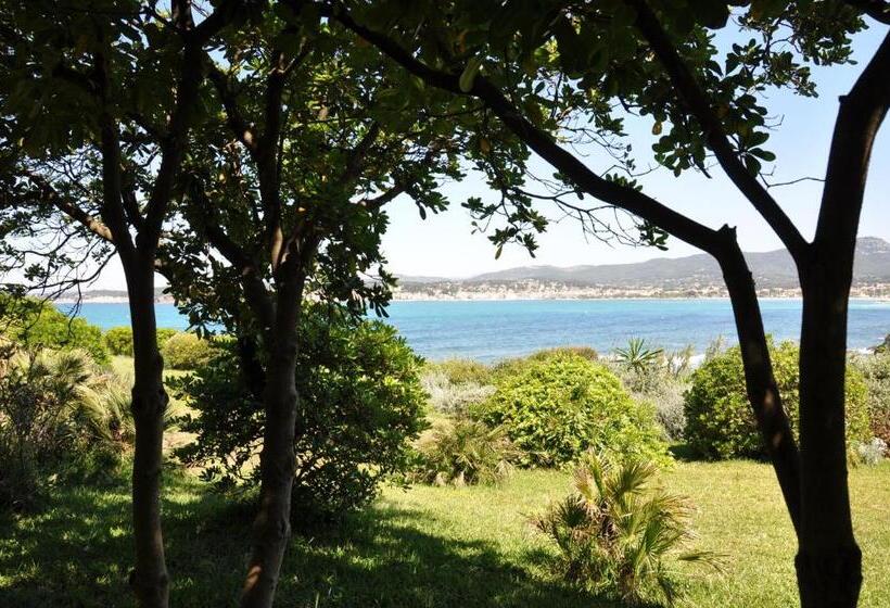 تختخواب و صبحانه Villa Hippocampe