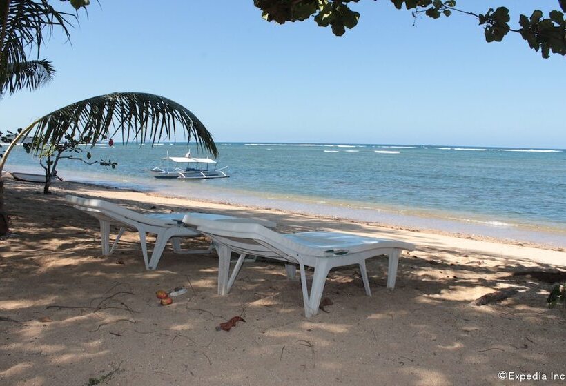تختخواب و صبحانه Cashew Grove Beach Resort