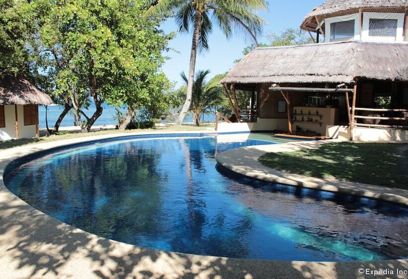 تختخواب و صبحانه Cashew Grove Beach Resort