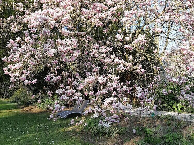 تختخواب و صبحانه La Maison Dans Le Parc
