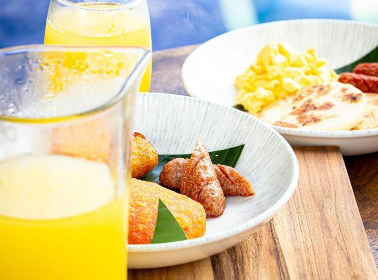 مسافرخانه Dreamer Palomino