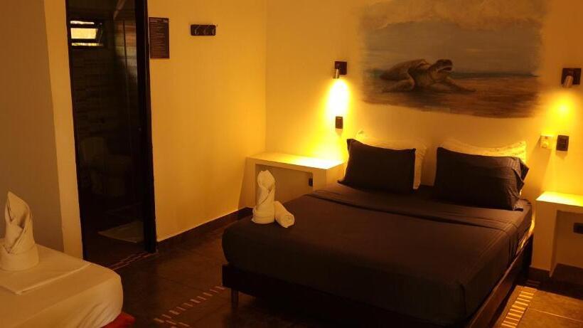 مسافرخانه Dreamer Palomino