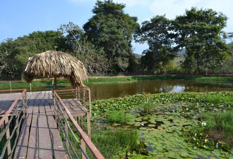 هتل Aite Eco Resort