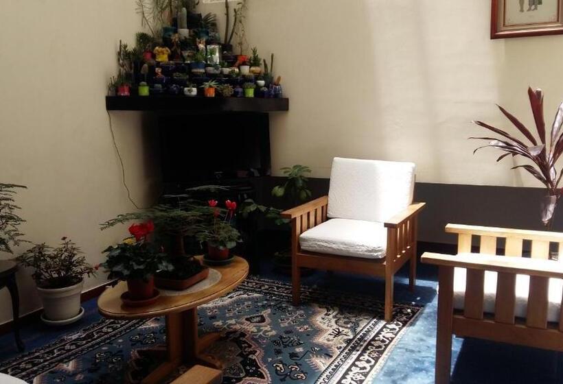 هتل Catalina Real