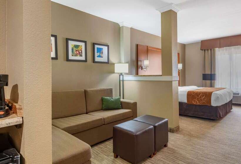 فندق Comfort Suites University