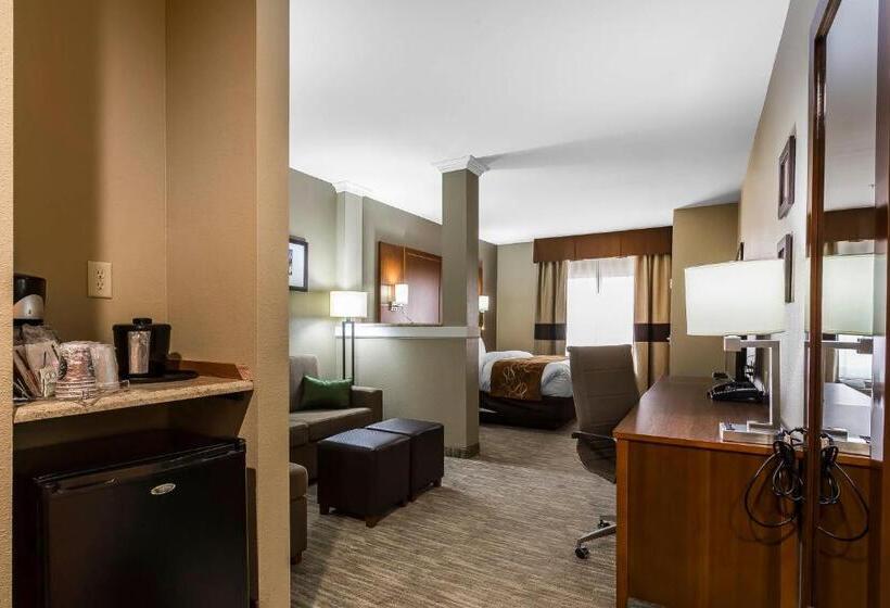 فندق Comfort Suites University