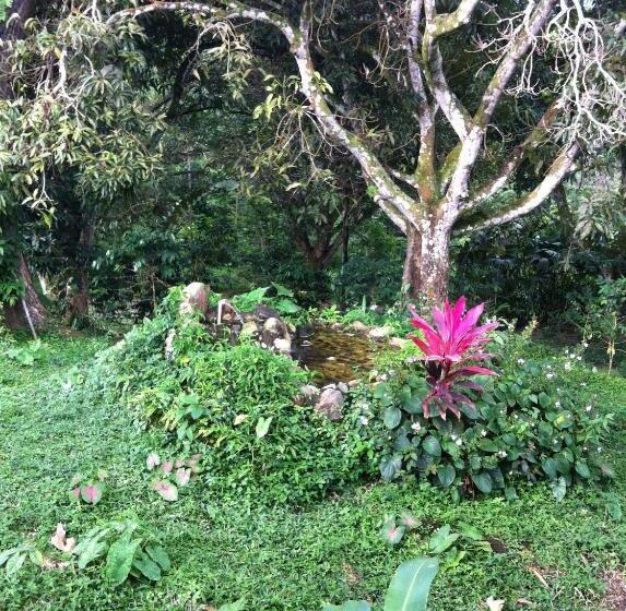 هتل Minca   La Casona