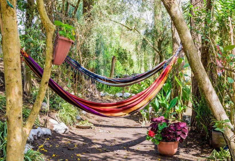 مسافرخانه Hosteria Colibri Aeropuerto