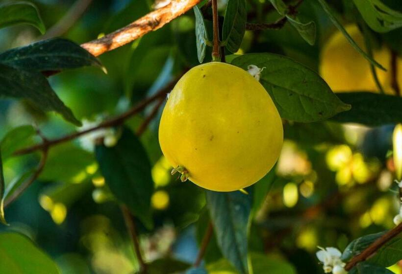 هتل Brisas La Gaviota Mariquit Tolima