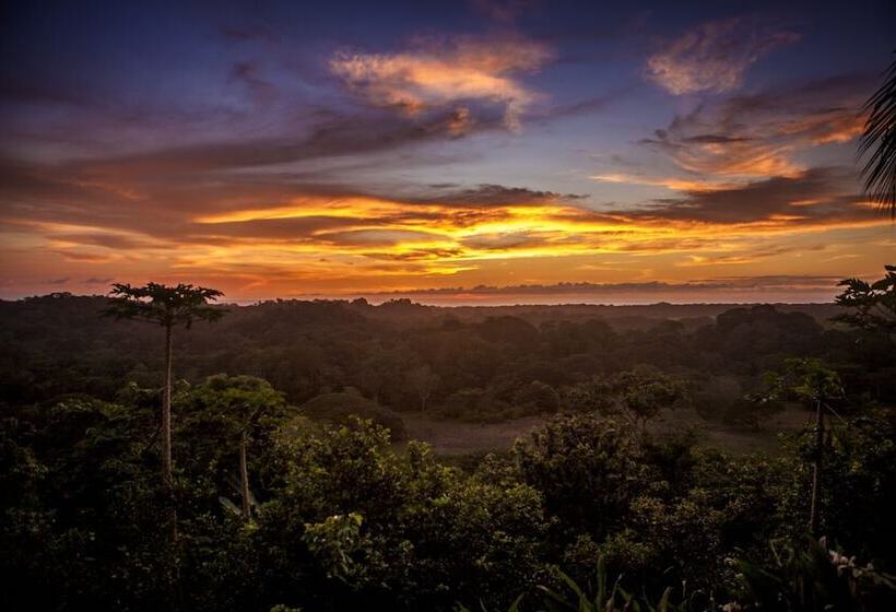 فندق Costa Rica Yoga Spa