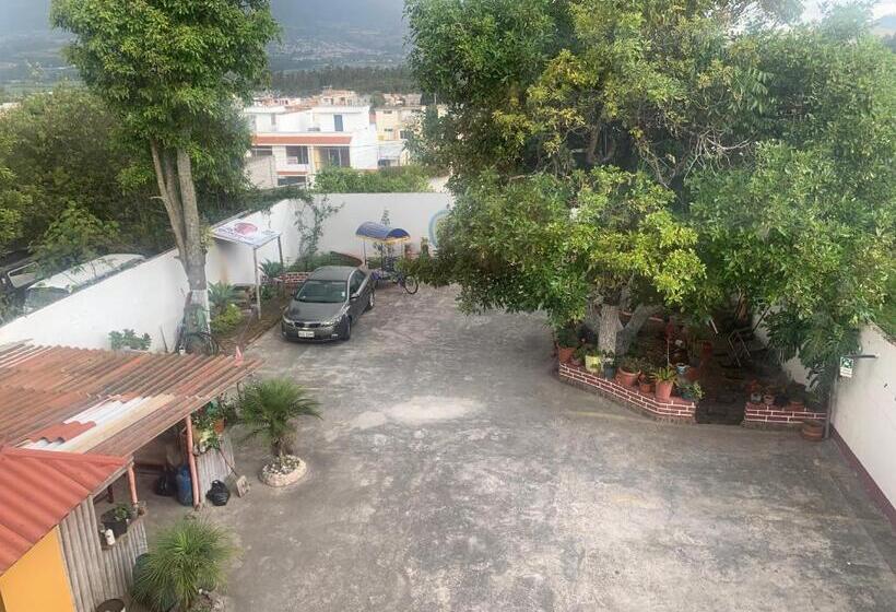 فندق Hostal Jora Continental