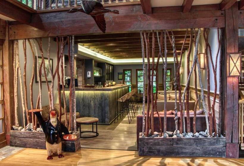 בית מלון כפרי Puyuhuapi Lodge & Spa