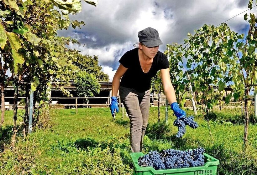 Отель Valdonica Winery Fine Dine & Wine