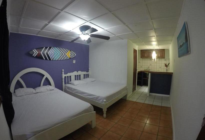 هاستل Beds On Bohio