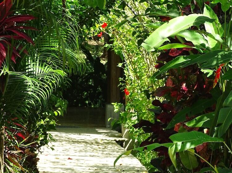 צימר Indigo Yoga Surf Resort