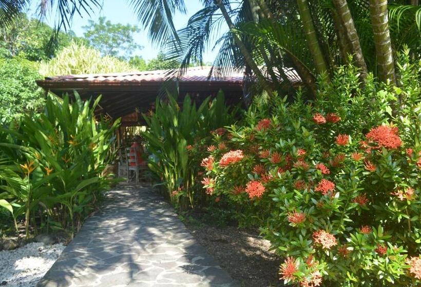 צימר Indigo Yoga Surf Resort