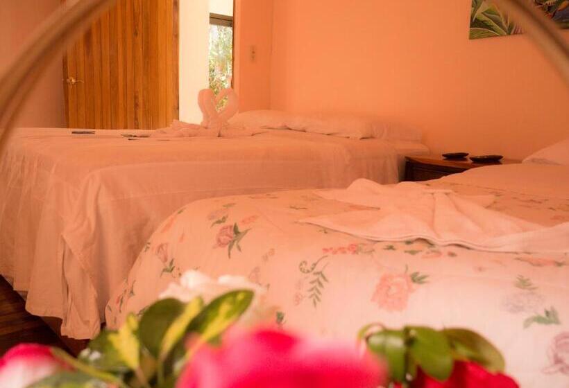 تختخواب و صبحانه Monte Los Lirios Lodge