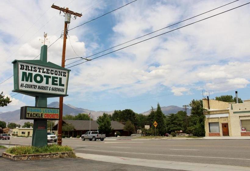 Bristlecone Motel