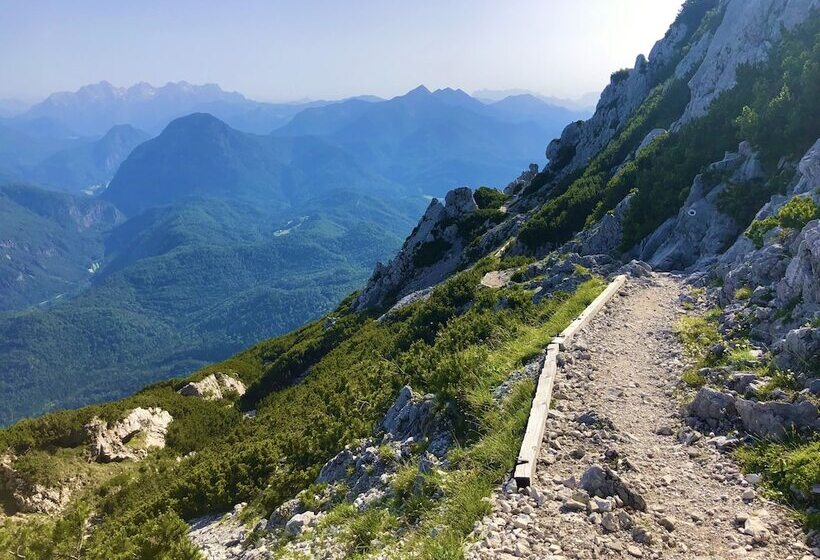 Отель Alpenliebe Design