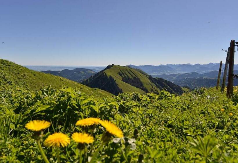 فندق Berghüs Schratt   Einfach Anders   Ihr Vegetarisches Und Veganes Bio