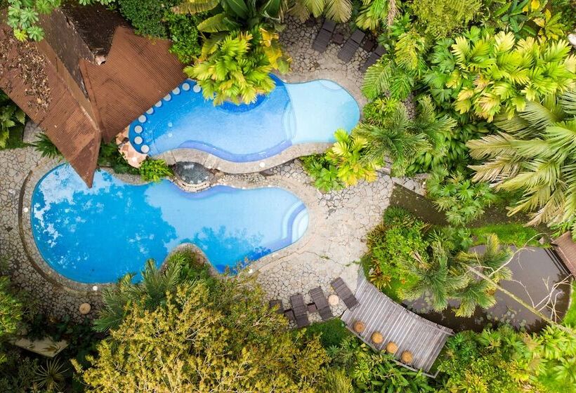 فندق Lost Iguana Resort And Spa