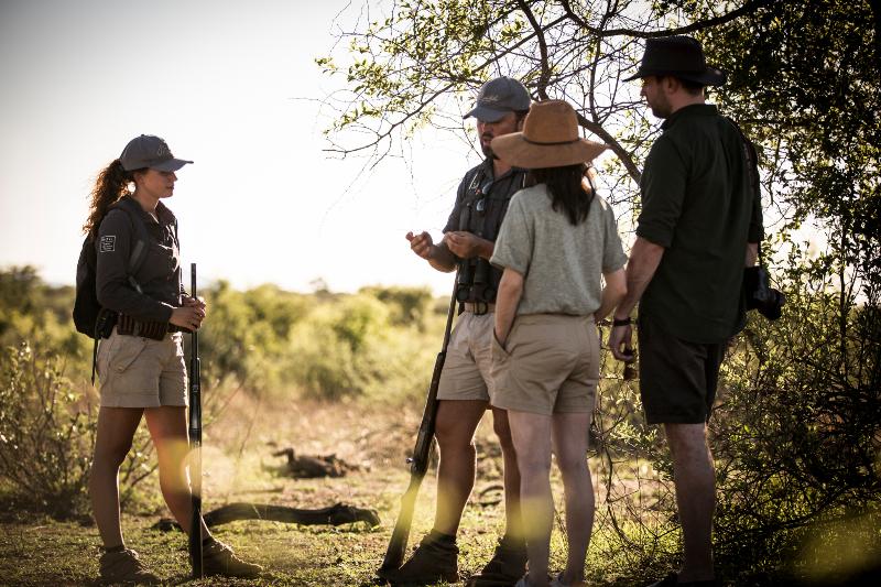 酒店 Marataba Safari Lodge