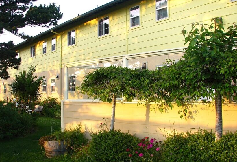 酒店 Pacific City Inn