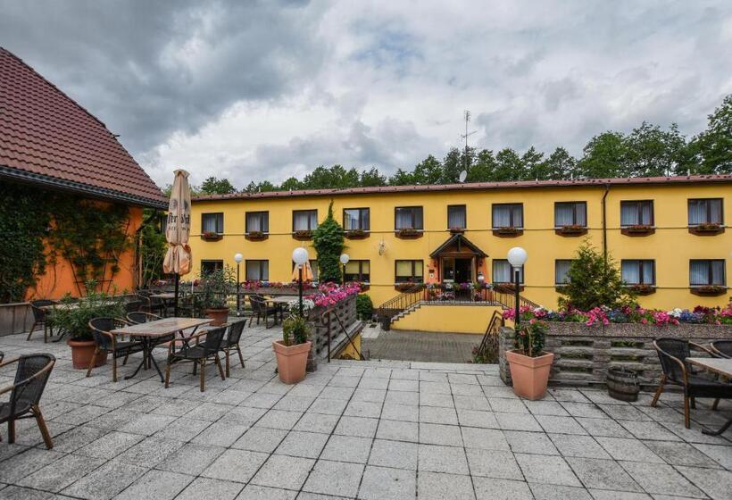 호텔 Seehof Netzen