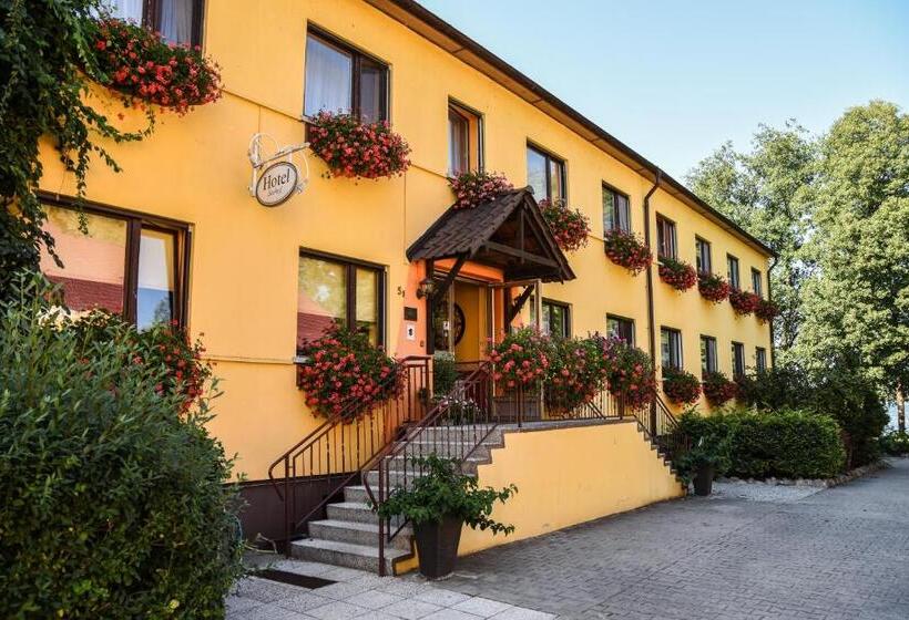 호텔 Seehof Netzen