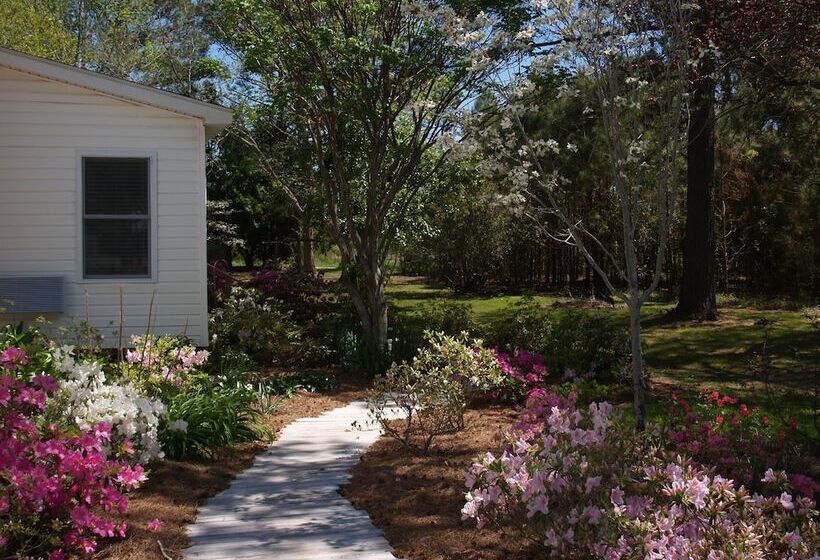 בית מלון כפרי The White House On Freedom Way