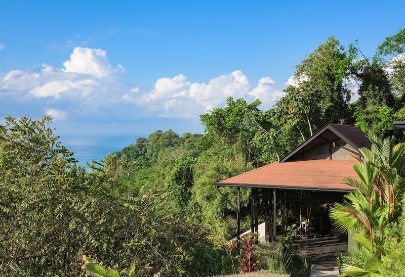 فندق Tiki Villas Rainforest Lodge & Spa