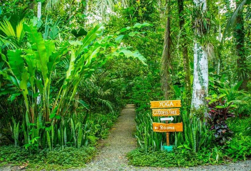 The Goddess Garden Eco Resort