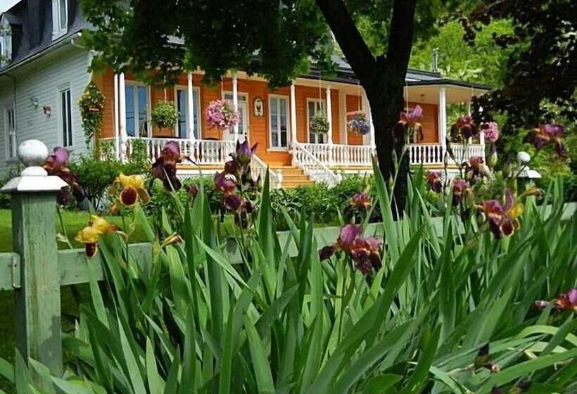 בית מלון כפרי Auberge Du Sault à La Puce