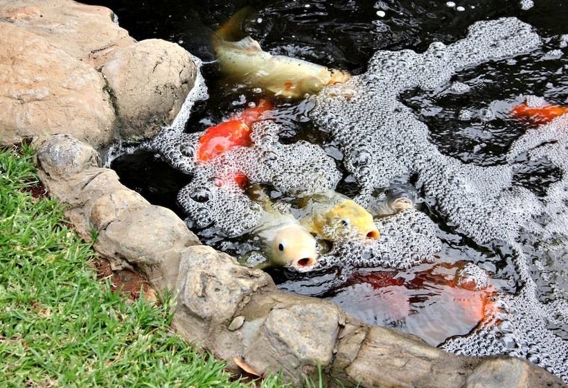 ホテル Browns Manor