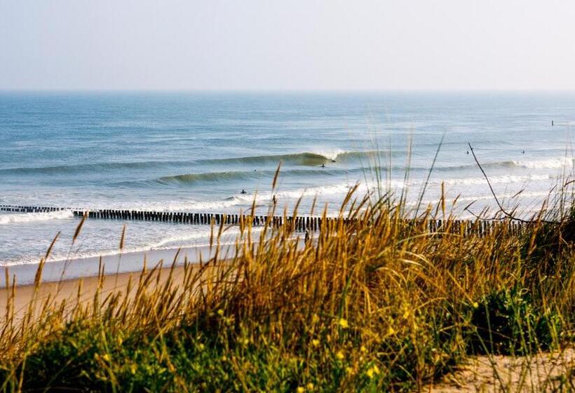 ホテル Domburg4you
