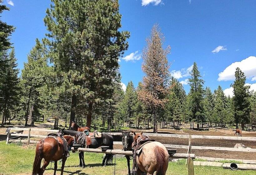 בית מלון כפרי Dream Haven Guest Ranch