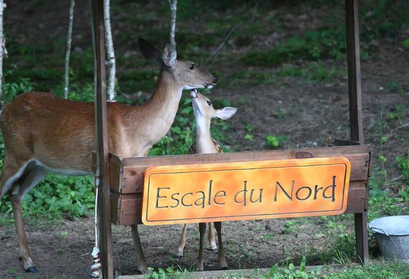 هتل Escale Du Nord
