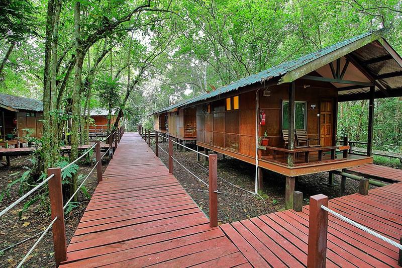 فندق Nature Lodge Kinabatangan
